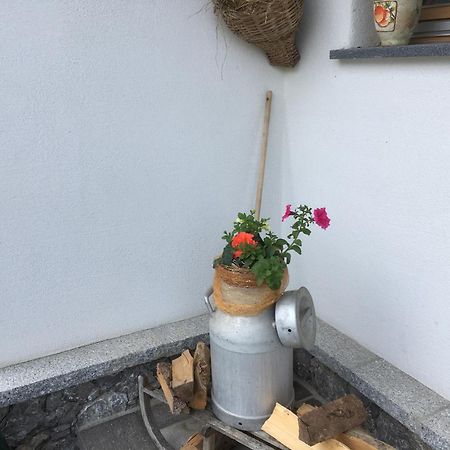 Chalets Aue Hart im Zillertal Ngoại thất bức ảnh